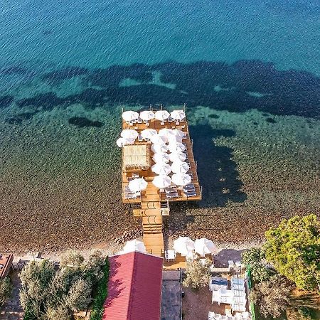 Assosa Hotel Айваджык Экстерьер фото